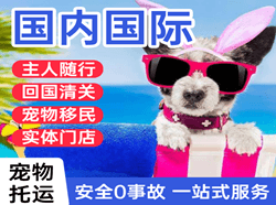 盐城机场物流国际宠物托运 【国